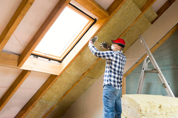 Best Insulation Removal  in Lindsborg, KS